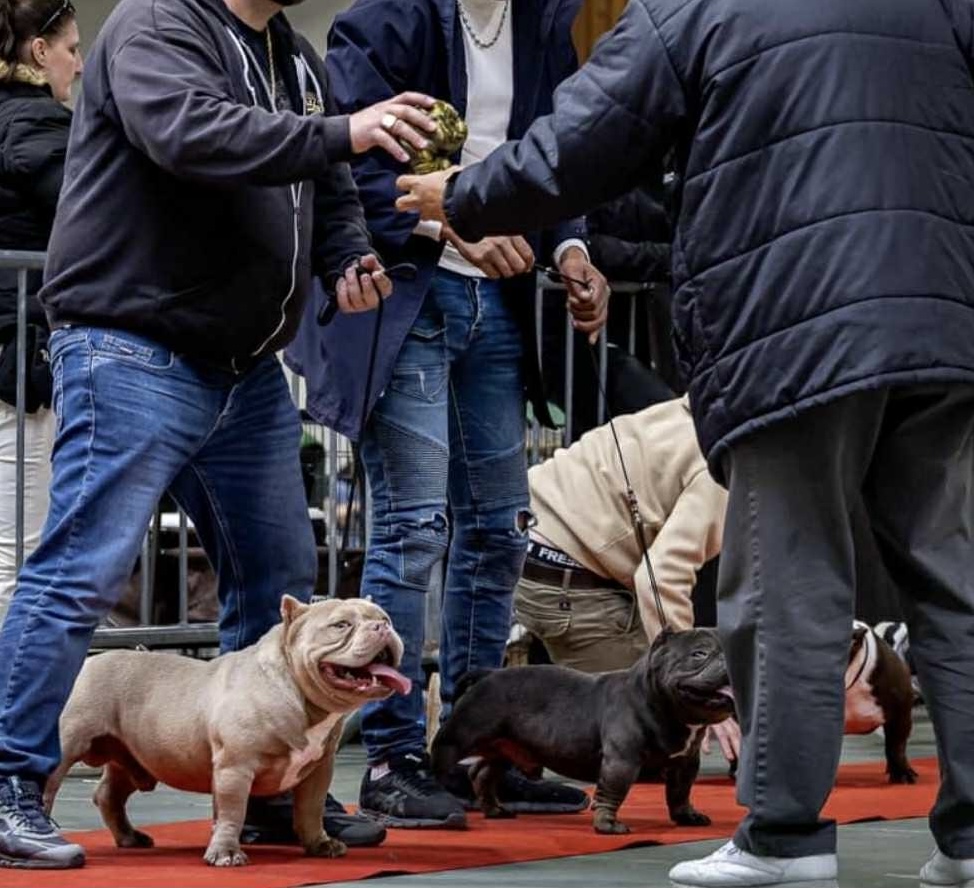 POG