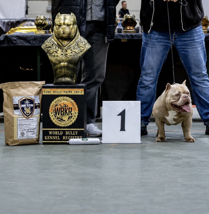 Hermes Bullys